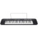 Casio CTK-240 Clavier 49 touches Noir