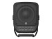 STAGEPAS 100BTR - Enceinte sonorisation Bluetooth - Noir