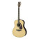 LL 16 D ARE Rosewood NT Natural - Guitare Acoustique