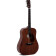 DM-15 guitare folk