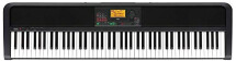 Korg - XE20 88 Key Digital Ensemble Piano with Automatic Accompaniment - Black