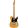 Player Plus Telecaster MN Butterscotch Blonde guitare électrique avec housse Deluxe