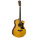 AC5R ARE VN - Guitare Acoustique