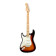 Fender Player Stratocaster Guitare lectrique rable Sunburst 3 couleurs.