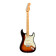Player Plus Stratocaster MN 3-Color Sunburst