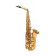 SIGNATURE - ALTO MIB VERNI