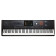 Pa5X 88 International - Clavier