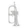 YFH-8310ZG S Flugelhorn Si Bémol, Pro Shop - Bugle à pistons Perinet