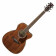 Ibanez Artwood AC340CE-OPN - Guitare Acoustique