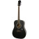 Songmaker DR-100 acoustic steel-string guitar, ebony