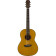 CSF Series CSF1M - Guitare acoustique folk