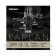 Corde de violon solo en spirale dore Kaplan Golden Spiral - Corde E seule - K420B-5 - Cordes de violon - chelle 4/4, Tension leve, Extrmit  boule