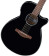 Ibanez AEG50-BK Guitare folk Noir