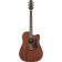 AAD440CE Advanced Acoustic Platinum Collection Natural Low Gloss guitare électro-acoustique folk avec étui