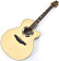 Takamine TSF48C Santa Fe