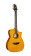 Cort LUXE II - Guitare lectro-acoustique Frank Gambale Signature - Naturel brillant (+ tui)