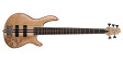 Cort B-001  0749  0 Professional Electric Bass 5 String