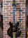 B.B. King “Rumble in the Jungle” 1974 ES-355 Walnut