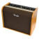 Fender Acoustique 100