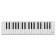 Xkey Air 37 Bluetooth MIDI Keyboard - Clavier Maître