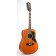 EKO Guitars 06217119 Ranger VR XII Natural Top Stained, Guitare Acoustique, 12 Cordes