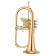 YFH-631G Flugelhorn Si Bémol, Pro Shop - Bugle à pistons Perinet