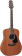 GD11M - Guitare folk - Dreadnought - Natural satin