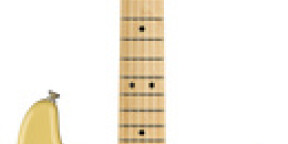 Vente Fender Player Series Strat HS