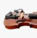 4099 Violin