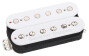 Alex Skolnick Bridge White