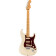 Player Plus Stratocaster MN Olympic Pearl guitare électrique avec housse deluxe