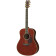 LJ16 ARE Dark Tinted guitare folk électro-acoustique