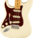 American Professional II Stratocaster Olympic White Maple Gaucher