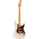 Player Plus Stratocaster MN (Olympic Pearl) - Guitare Électrique