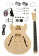 Electric Guitar Kit HB35-Style