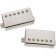 Joe Bonamassa The Blonde Dot 1960 ES-335 Humbucker Set micro guitare avec capot nickel (la paire)