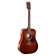 Cort Earth 70 Brown guitare folk acoustique