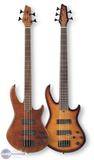 Godin BG5 5-string Bass