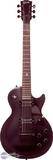 Gibson Les Paul Gothic