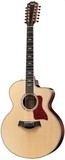 Taylor 855 CE