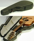 Godin TRIC Dreadnaught Case