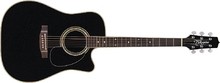 Takamine EG541