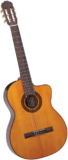 Takamine EG-124C