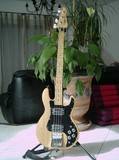 Peavey 1982 T-40