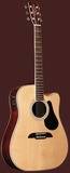 Alvarez AD60SC