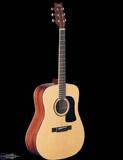 Washburn D10SLH