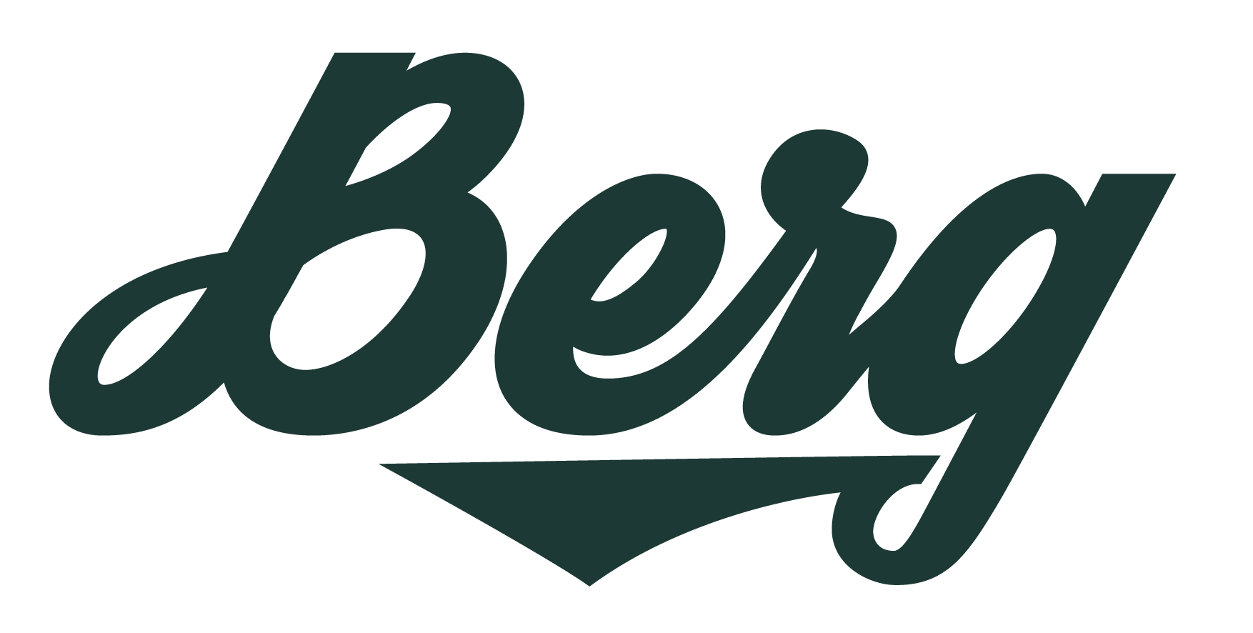 Berg Electric Guitars (5 products) - Audiofanzine