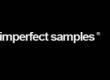 Imperfect Samples