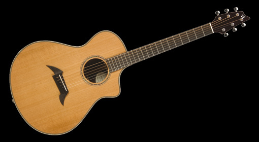 breedlove pro series c25