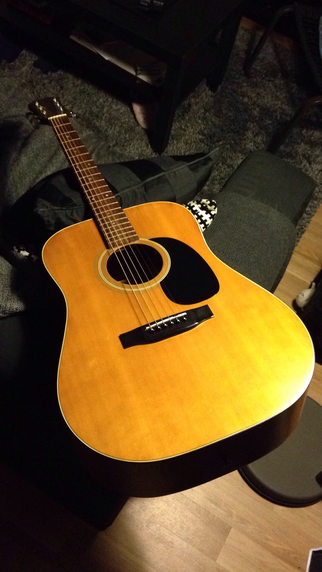 Epiphone FR-100 image (#1167192) - Audiofanzine